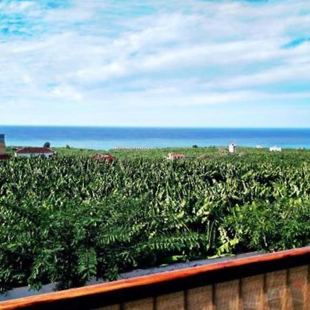 Apartamento El Tejar Тасакорте Экстерьер фото